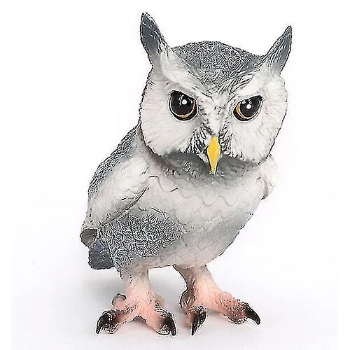 Universal Real Heart Wild Animal Modèle Eagle Owl Birds Ensemble de jouets pour enfants Giftï¼ˆgroup1ï¼ ‰