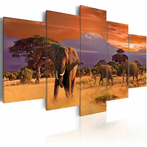 Paris Prix Tableau Imprimé Afrique : éléphants 100 x 200 cm