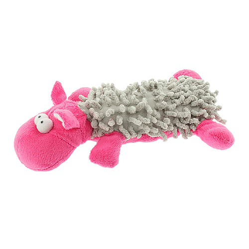 Dog Chew Toy