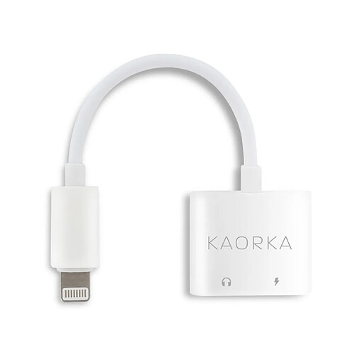 Kaorka Cordon 2 en 1 Lightning vers Jack 3,5mm et Lightning