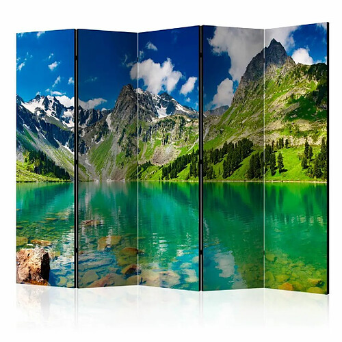 Paris Prix Paravent 5 Volets Mountain Lake 172x225cm