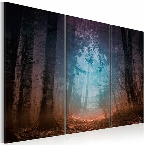 Paris Prix Tableau Imprimé 3 Panneaux Edge of the Forest 40 x 60 cm