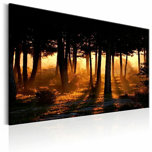 Paris Prix Tableau Imprimé Forest Dawn 80 x 120 cm