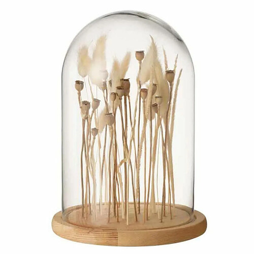 Paris Prix Cloche en Verre Déco Fleurs Séchées 26cm Écru