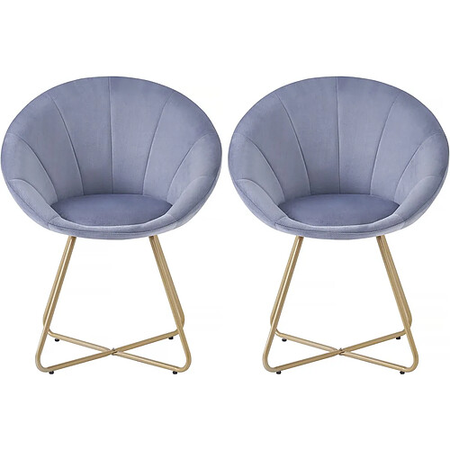 Habitat Et Jardin Lot de 2 chaises de la salle a manger en velours Rosalie - Gris