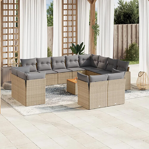 vidaXL Salon de jardin avec coussins 13 pcs beige résine tressée