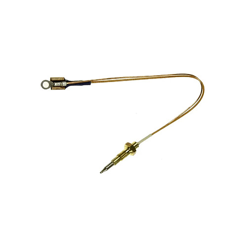 Waltham SONDE THERMOCOUPLE 250 MM