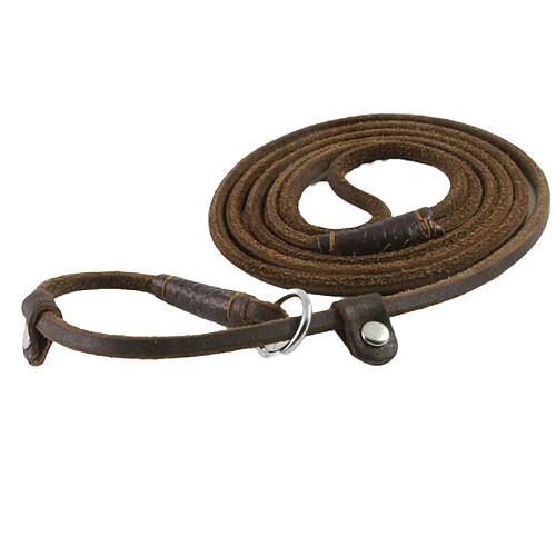 Universal Cuir antidérapant pour chien, laisse de plomb, col de chaîne, fil de marche pour animal de compagnie, longue corde pour chien, traction pour chiot, petit chien.