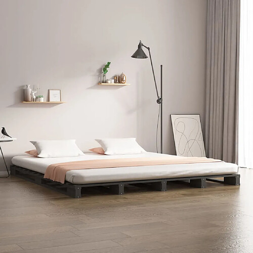 vidaXL Lit de palette sans matelas gris bois massif