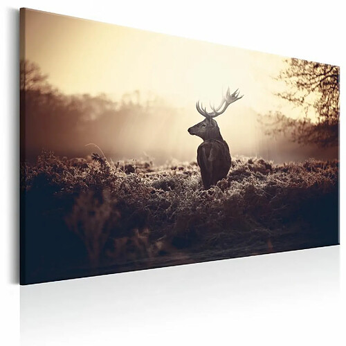 Paris Prix Tableau Imprimé Lurking Deer 80 x 120 cm