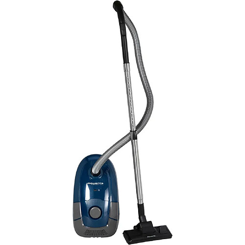 Aspirateur traineau 450w 79db bleu/noir - ro3125ea - ROWENTA