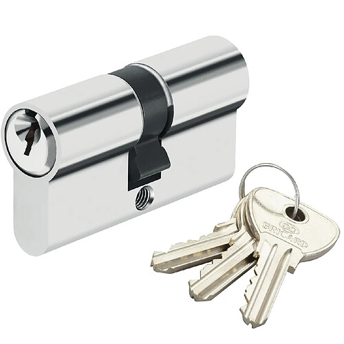 Cylindre de sécurité pour porte barillet 40 x 30 mm Alpha Bricard 3 clés