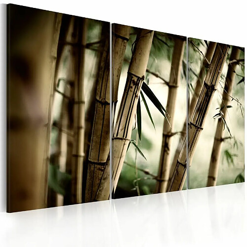 Paris Prix Tableau Imprimé Forêt Tropicale 80 x 120 cm