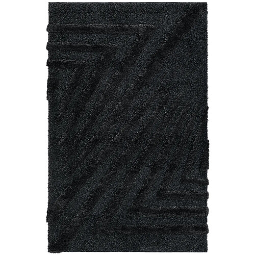 Hadorn Tapis shaggy 245x160 noir Thun Avis