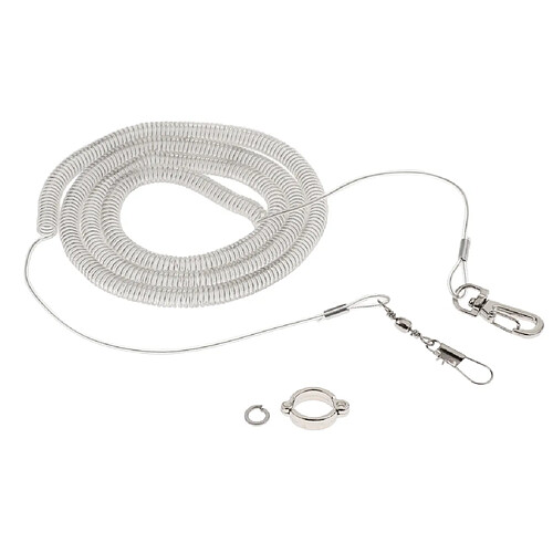 Élastique Parrot Pied Chaîne Pet Training Corde De 5m Et Taille 8 Anklet Anneau