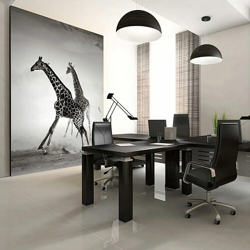 Paris Prix Papier Peint Girafes 270 x 350 cm