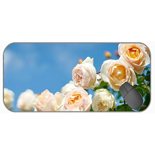 Universal (750x300x3) Tampon de souris de jeu extra large, nature, rose, tapis de souris fleur