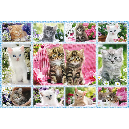 Schmidt Puzzle 100 pièces : Chatons