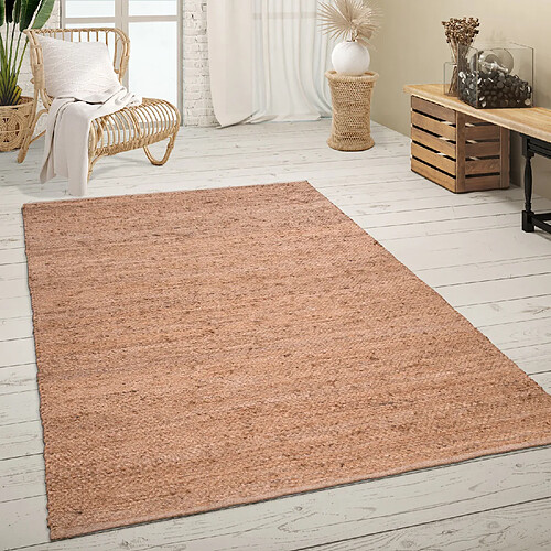 Paco-Home Tapis De Salon Poil Ras Fait Main Sisal Motif Avec Bordure Moderne Beige