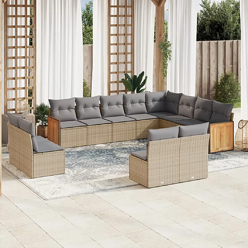 vidaXL Salon de jardin avec coussins 12 pcs beige résine tressée