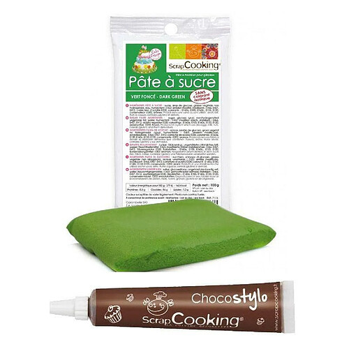 Scrapcooking Stylo chocolat + Pâte à sucre vert foncé 100 g