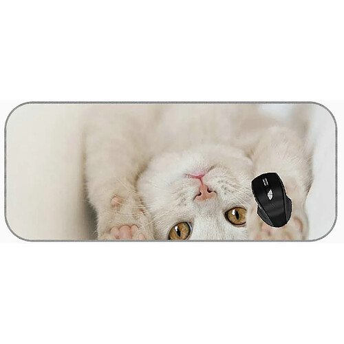 Universal (750x300x3) Tampon de souris de jeu Grand Cat Animal Cat inversé Cat inversé PADS DE MICE DE MICE