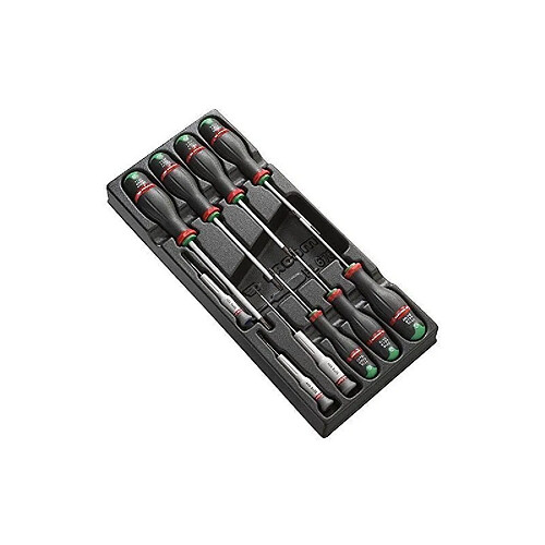 Facom MODULE DE 10 TOURNEVIS PROTWIST RESISTORX