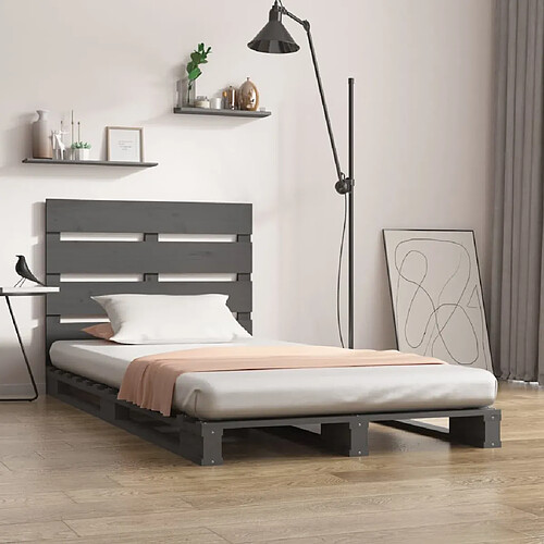 vidaXL Cadre de lit sans matelas gris 100x200 cm bois massif de pin