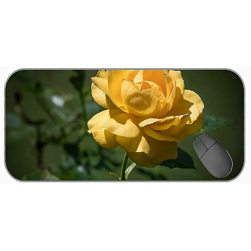 Universal (750x300x3) Long Mouspad XXL, superbe souris en caoutchouc non glissant de la nature rose rose