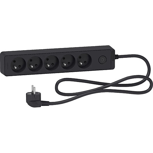 Schneider Electric Bloc multiprises 5 Prises 2P+T (câble 1,5m) Anthracite- Schneider