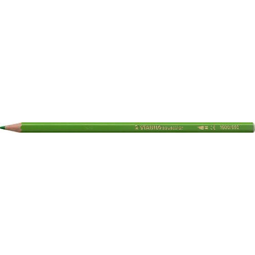 Newtons Stabilo Aquacolor Lot de 12 Crayons Aquarellable Vert Printemps