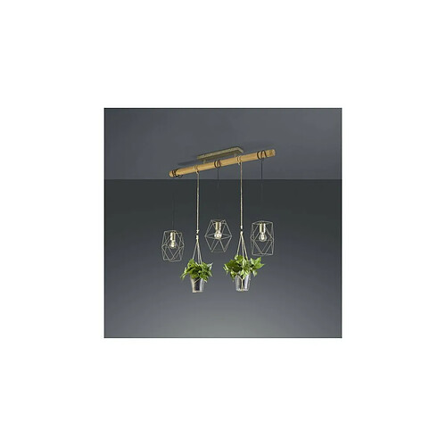 TRIO LIGHTING Suspensions Plant Nickel Antique 3x40W E27