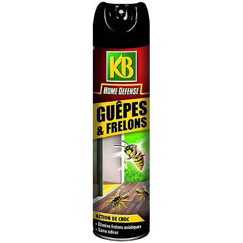 Aérosol spécial guêpes frelons - Home défense - 400 mL - KB