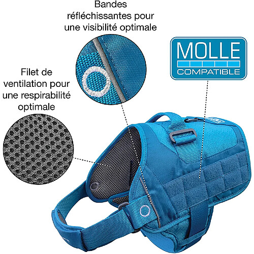 Kurgo Harnais de Sécurité pour Chien, Canicross Compatible Molle Urbain RSG, ajustable, ouvre-bouteille intégré, bandes réfléchissantes, Style Townie, Bleu, Taille S