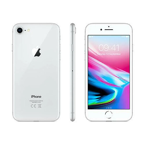 Apple iPhone 8 4G 256 Go argent EU · Occasion