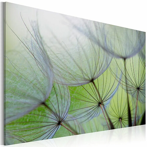 Paris Prix Tableau Imprimé Dandelion in the Wind 40 x 60 cm