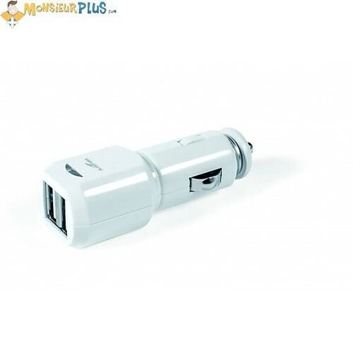 Bluestork BS-CAR-2USB-II