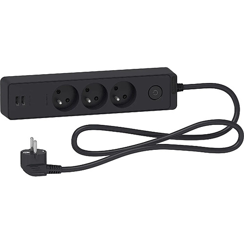 Schneider Electric Bloc multiprises 3 Prises 2P+T et 2 USB (câble 1,5m) Anthracite - Schneider