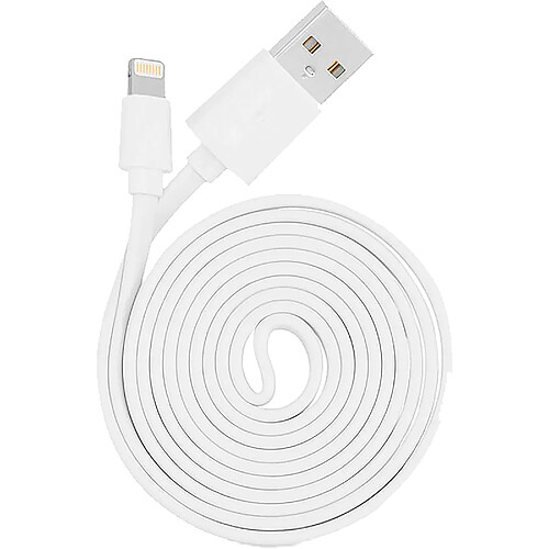 Câble de Charge Lightnin-USB Mâle, Charge Rapide, 1,2 m,Câble D'alimentation IOS, , Blanc, Blaupunkt, BLP0215.112