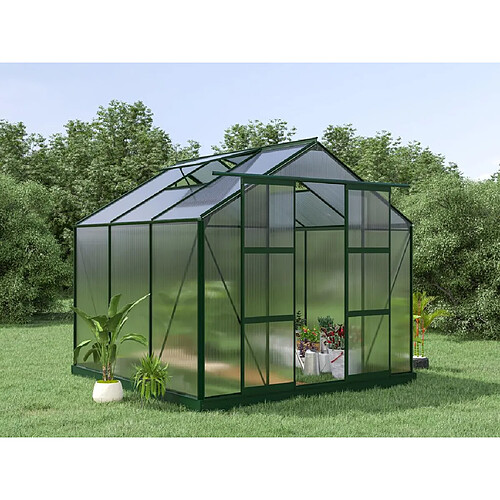 Vente-Unique Serre de Jardin en polycarbonate de 5,9 m² avec embase - Vert - ANISSA