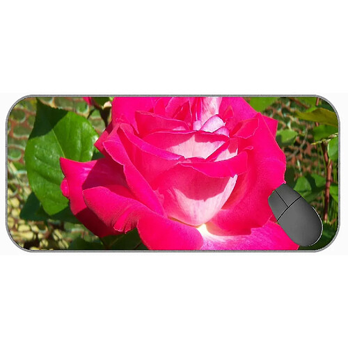 Universal (750x300x3) XXL GAMING MOUSE PAD, Beautiful Nature Rose Office Mouse Pad