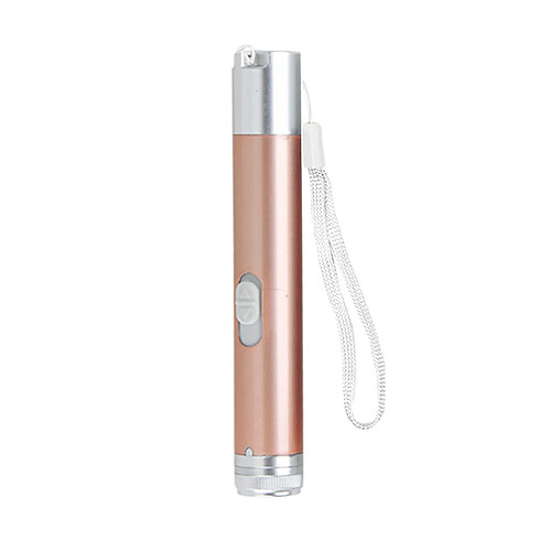 Chien Pet Chat Chaton Jouet Pointeur LED Stylo LED Rechargeable Argent