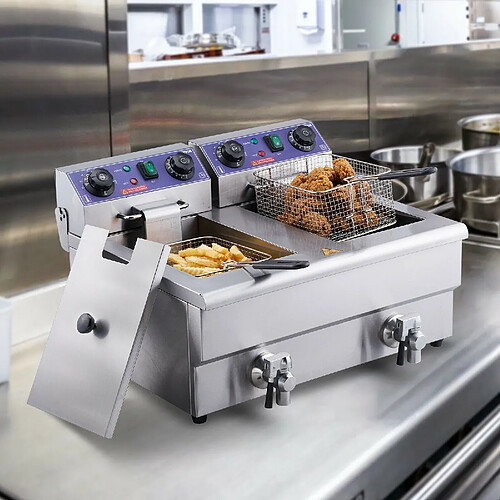 Friteuse Électrique Commerciale Friteuse à Huile 2 Cuves Acier Inox 12L 6000 W - Pour Restaurants Supermarchés Fast-foods Snack-bars