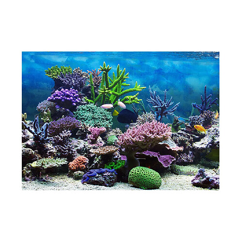 fond d'aquarium, affiche adhésive aquarium décor de mur de réservoir de poissons corail xl