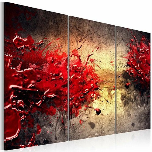 Paris Prix Tableau Imprimé Splash Rouge 80 x 120 cm