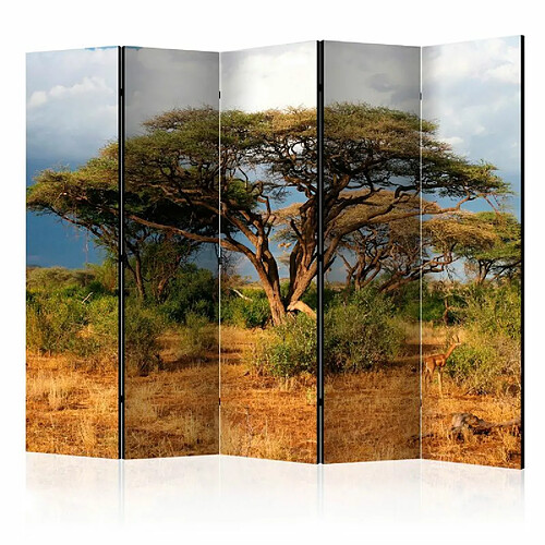 Paris Prix Paravent 5 Volets Samburu National Reserve, Kenya 172x225cm