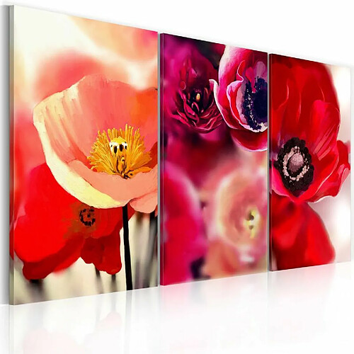 Paris Prix Tableau Imprimé Coquelicots Trois Perspectives 60 x 90 cm