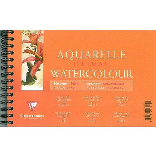 Clairefontaine 96062C Papier aquarelle Grain Fin 12 Feuilles Blanc