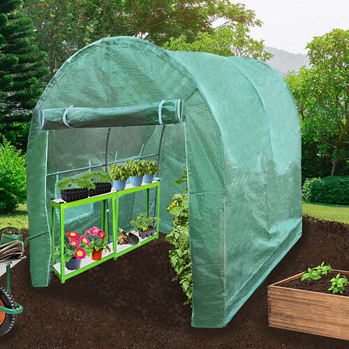 Monstershop Serre Polytunnel 19mm 3m x 2m avec Étagères