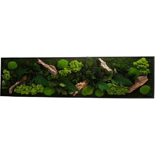 Flowerbox Tableau végétal stabilisé canopé Panoramic 115 x 25 cm.